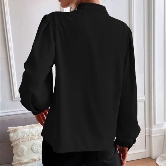 Luxurious satin bishop sleeve. Louse - Picture 15 of 15